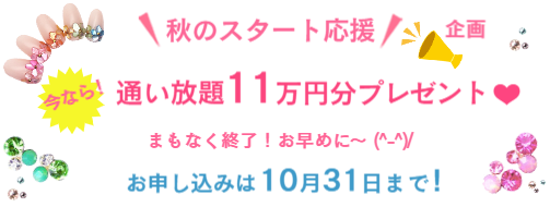 2024秋のキャンペーン情報