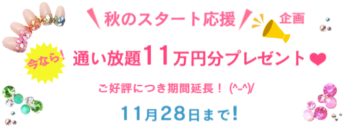 2024秋のキャンペーン情報